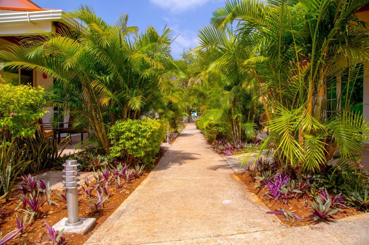 Solare Sai Ecohotel (Adults Only) San Andres  Exterior photo
